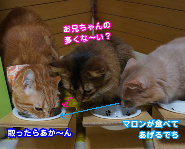 cake6155.jpg