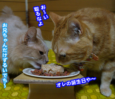 cake7367.jpg