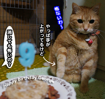 cake7361.jpg