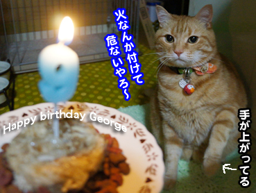 cake7358.jpg