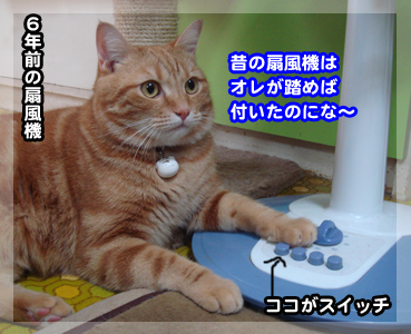 senpuki0690.jpg