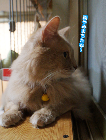 tuyu6553.jpg