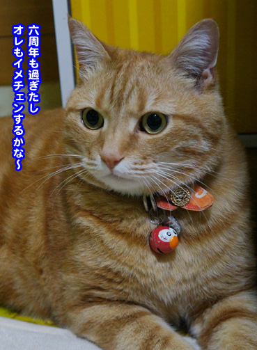 ime7226.jpg