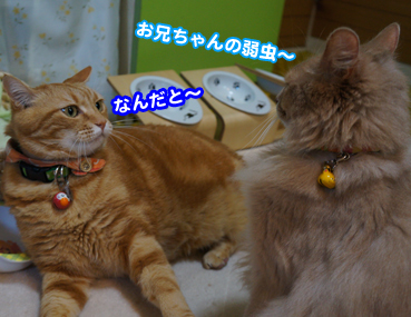 kaminari6592.jpg