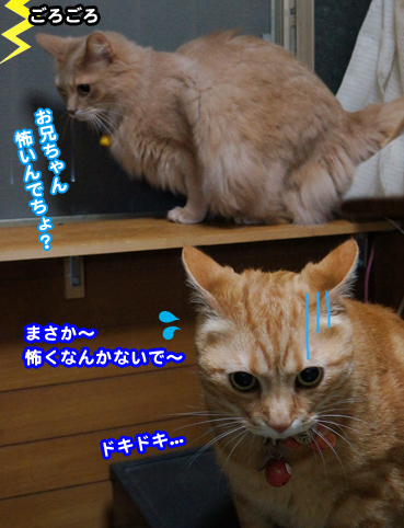 kaminari4758.jpg