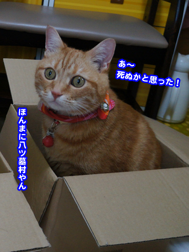 hako8958.jpg