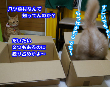 hako8933.jpg
