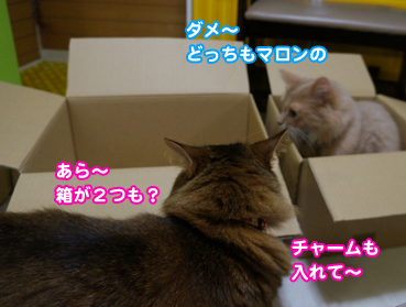 hako8917.jpg
