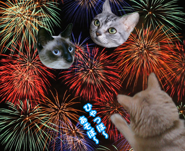 hanabi8744.jpg