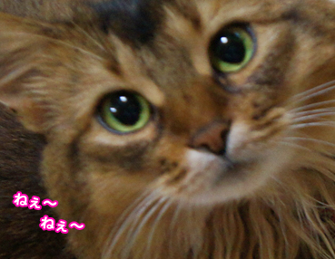 amae0508.jpg