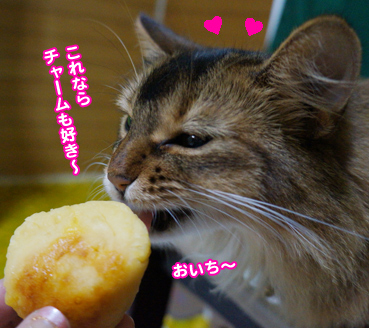 2083.芋栗南京 | お散歩大好き猫ブログ 2083.芋栗南京 | お散歩大好き猫ブログ