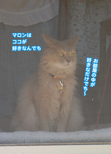 kowai8056.jpg