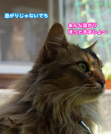 kowai8052.jpg