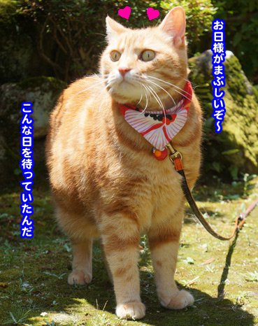 kowai8028.jpg