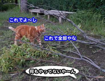 higai3293.jpg