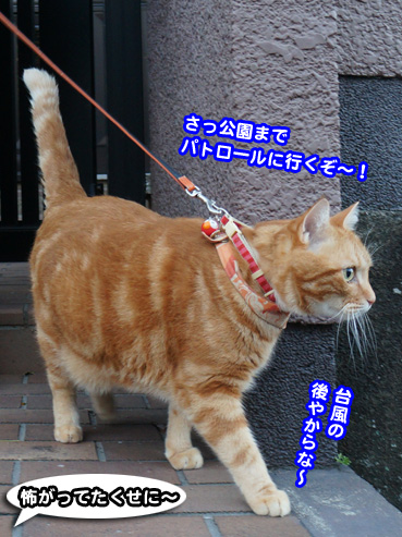 higai3199.jpg