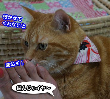syukai0037.jpg
