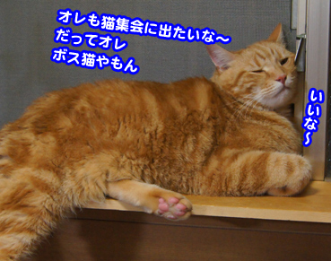syukai00264.jpg