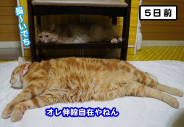 kion1483.jpg