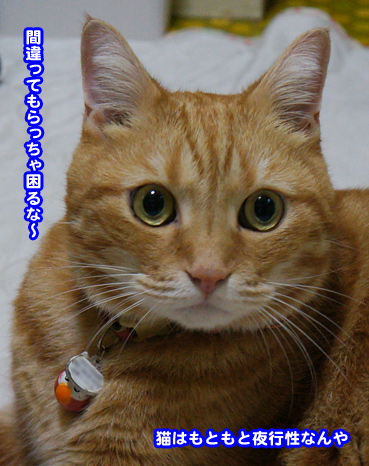 20131009_601275.jpg