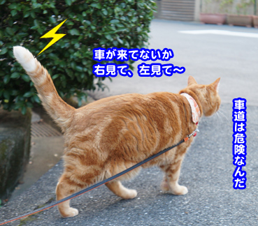 sanpo2478.jpg