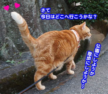 sanpo2477.jpg