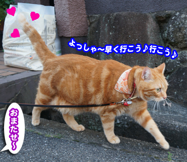sanpo2468.jpg
