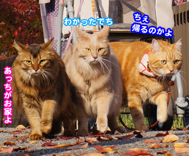 sanpo7755.jpg