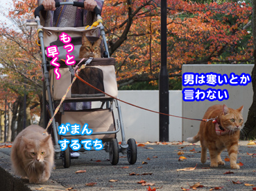 sanpo7465.jpg
