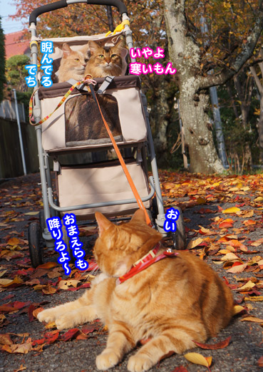 sanpo7577.jpg