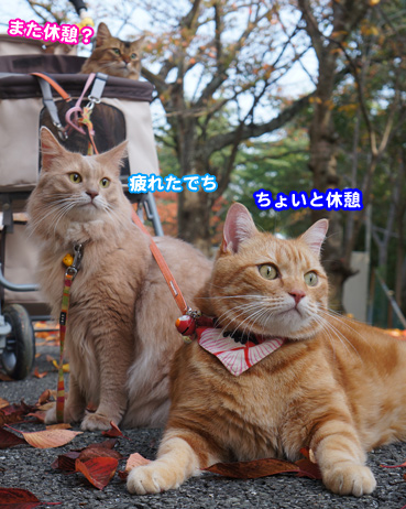 sanpo7491.jpg