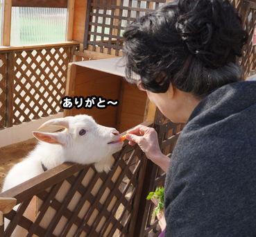 miki7842.jpg