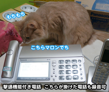 miki8557.jpg