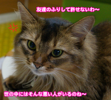 miki0495.jpg