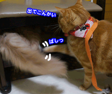 kega6755.gif