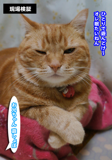 kega7056.jpg