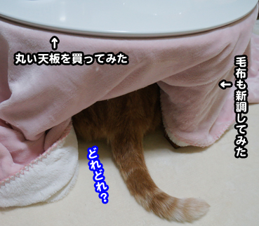 kotatu7211.jpg