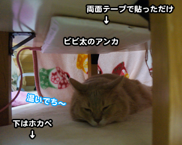 kotatu6875.jpg