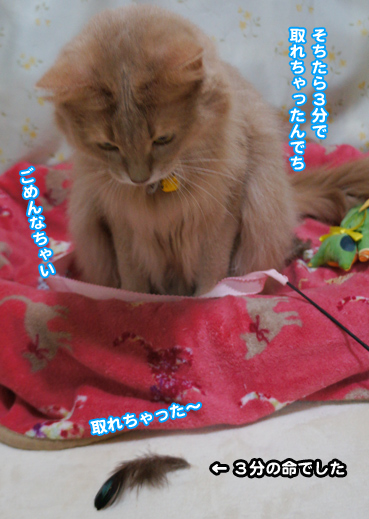 hane0440.jpg