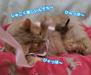 hane0414.jpg
