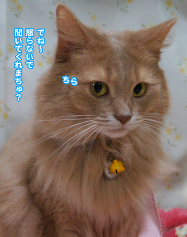 hane0419.jpg
