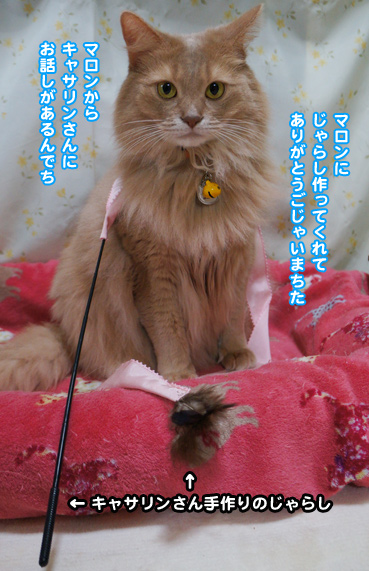 hane0420.jpg