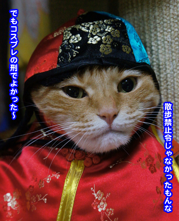 kei5822.jpg