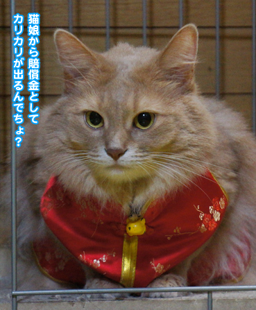 kei5817.jpg