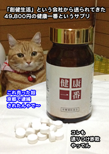 sagi2.jpg