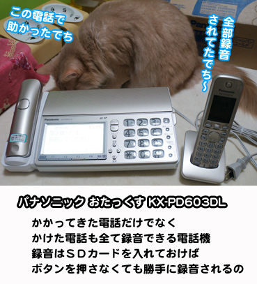 sagi8556.jpg