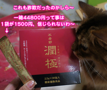 sagi0625.jpg