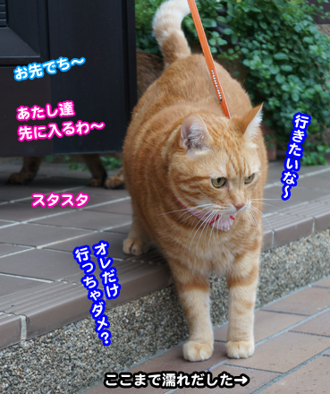 mizore6889.jpg