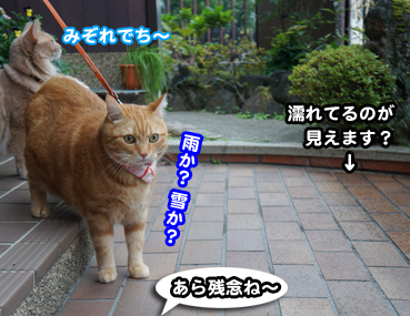mizore6891.jpg