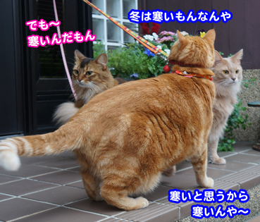 mizore6884.jpg